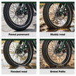 Niloxer KA1 E Bike Dreirad Für Erwachsene  | 16 Zoll, 48V, 500W, 23Ah, max 25 km/h