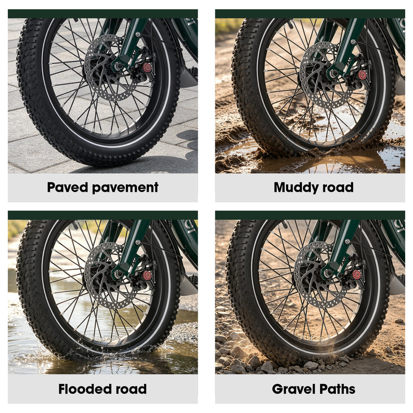 Niloxer KA1 E Bike Dreirad Für Erwachsene  | 16 Zoll, 48V, 500W, 23Ah, max 25 km/h