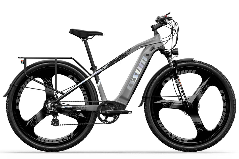Cysum Speedy Elektrofahrrad 29'' e-Bike 48V 672Wh 75Nm