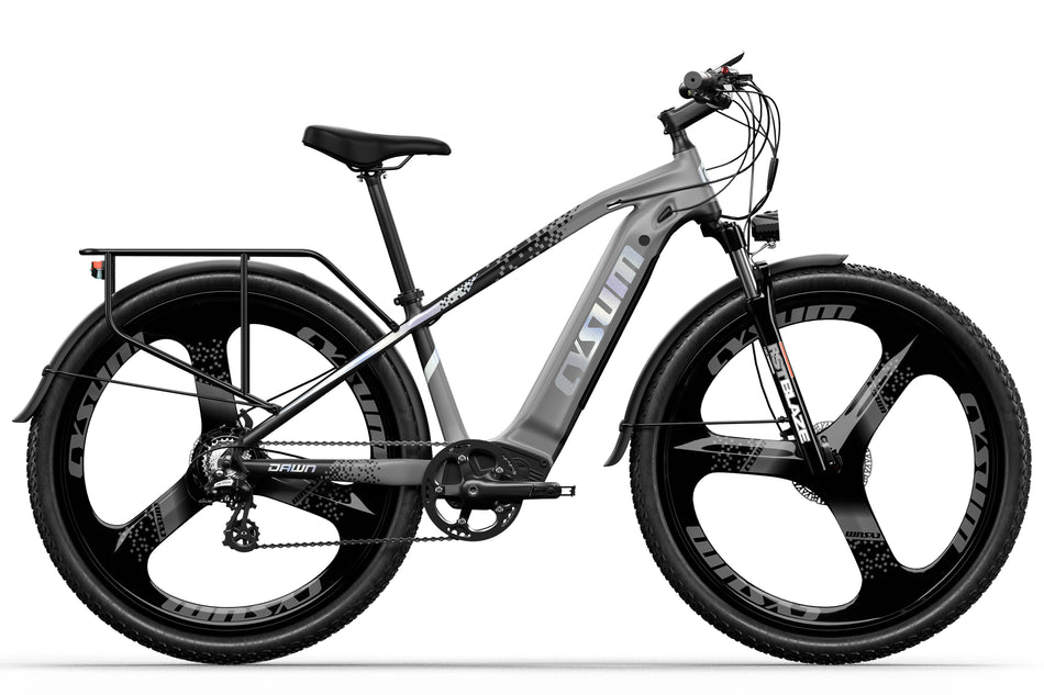 CYSUM Speedy M520 500W 48V 15Ah 29 Zoll Mountainbike Elektrofahrrad