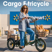 Niloxer KA1 E Bike Dreirad Für Erwachsene  | 16 Zoll, 48V, 500W, 23Ah, max 25 km/h