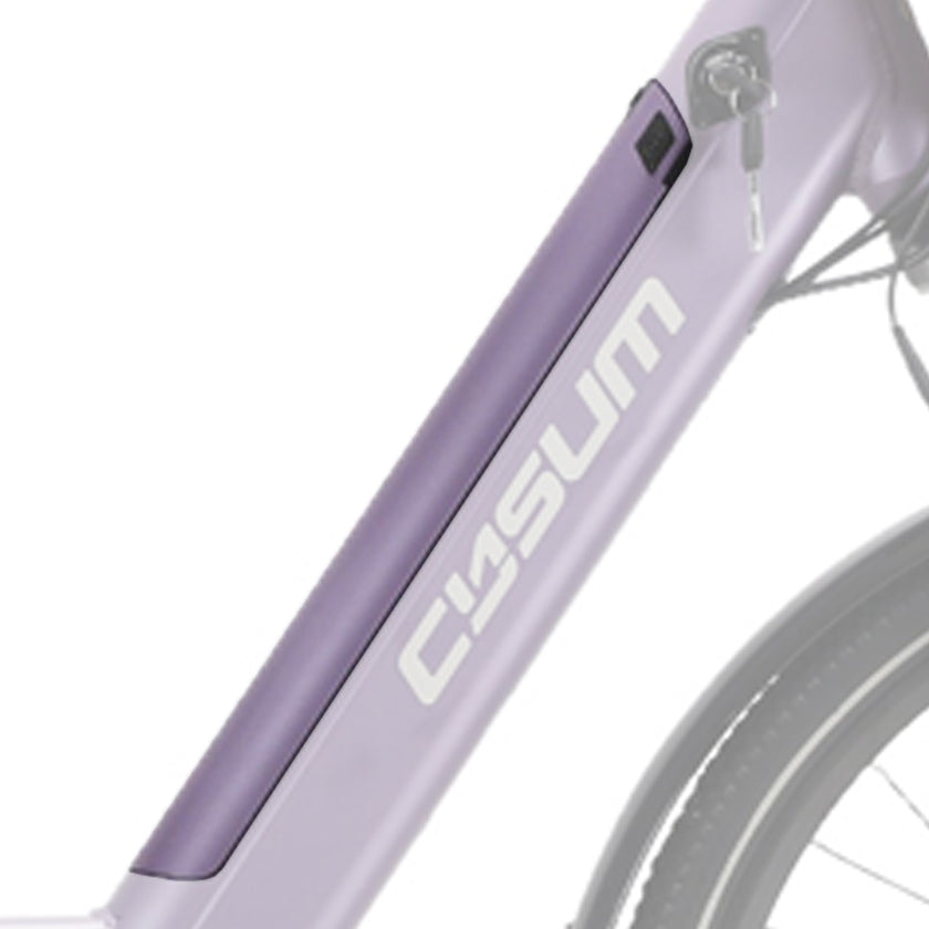 Lithium-Batterie 48v 10Ah herausnehmbar für CYSUM X-City E-Bike