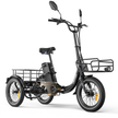 Niloxer KA1 E Bike Dreirad Für Erwachsene  | 16 Zoll, 48V, 500W, 23Ah, max 25 km/h