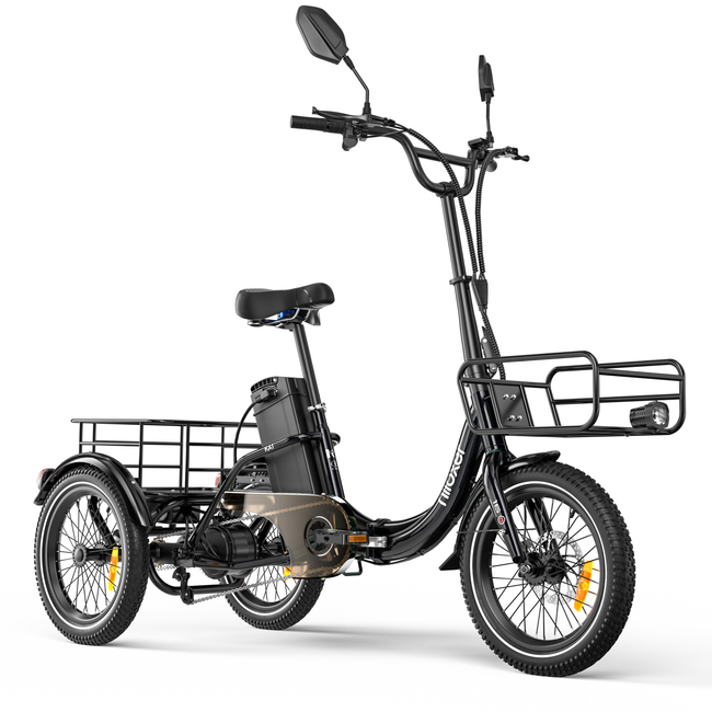Niloxer KA1 E Bike Dreirad Für Erwachsene  | 16 Zoll, 48V, 500W, 23Ah, max 25 km/h