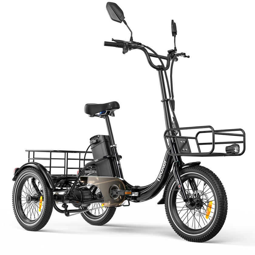 Niloxer KA1 E Bike Dreirad Für Erwachsene  | 16 Zoll, 48V, 500W, 23Ah, max 25 km/h