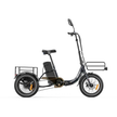 Niloxer KA1 E Bike Dreirad Für Erwachsene  | 16 Zoll, 48V, 500W, 23Ah, max 25 km/h
