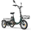 Niloxer KA1 E Bike Dreirad Für Erwachsene  | 16 Zoll, 48V, 500W, 23Ah, max 25 km/h