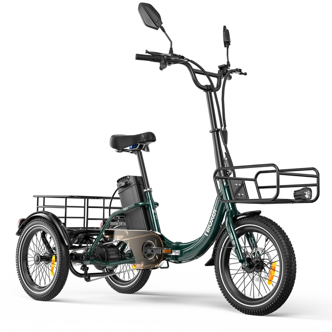 Niloxer KA1 E Bike Dreirad Für Erwachsene  | 16 Zoll, 48V, 500W, 23Ah, max 25 km/h