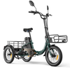 Niloxer KA1 E Bike Dreirad Für Erwachsene  | 16 Zoll, 48V, 500W, 23Ah, max 25 km/h