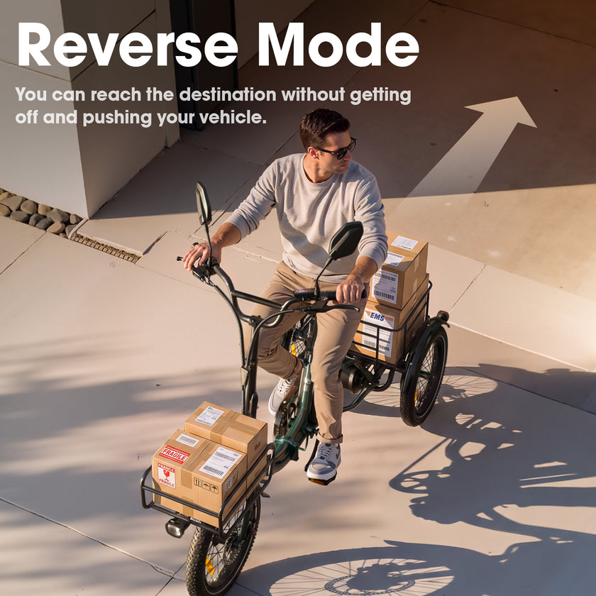Niloxer KA1 E Bike Dreirad Für Erwachsene  | 16 Zoll, 48V, 500W, 23Ah, max 25 km/h
